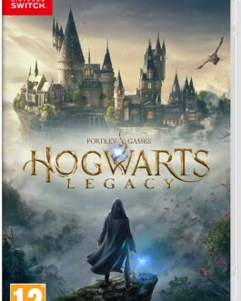 HOGWARTS LEGACY SWITCH