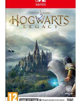 Hogwarts Legacy Nintendo Switch 2