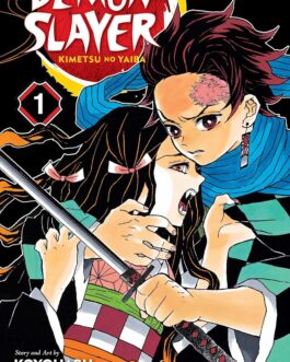 Demon Slayer : Kimetsu No Yaiba Vol. 01 : Cruelty PAPERBACK