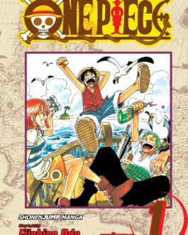 One Piece 01 : Romance Dawn : Volume 1 Paperback