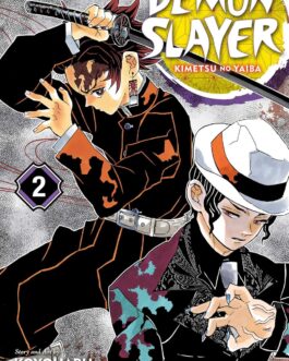 DEMON SLAYER : KIMETSU NO YAIBA, VOL. 2 Paperback