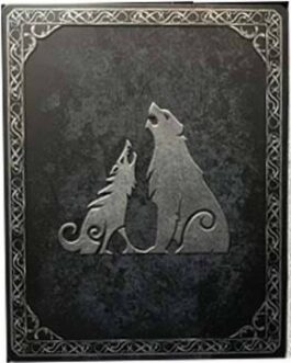 GOD OF WAR RAGNAROK STEELBOOK ONLY
